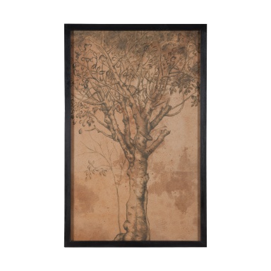 Wand-Dekor Olive Tree