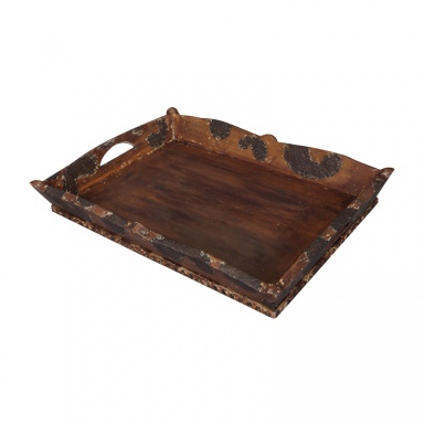 Behälter Applikations-Tray