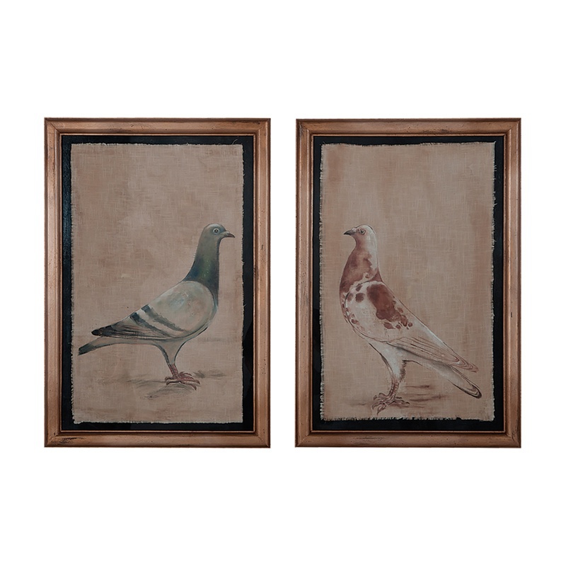 Bild Von Rock Doves Guild Master