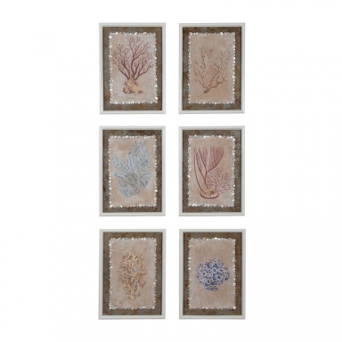 Bild Von Coral Studies