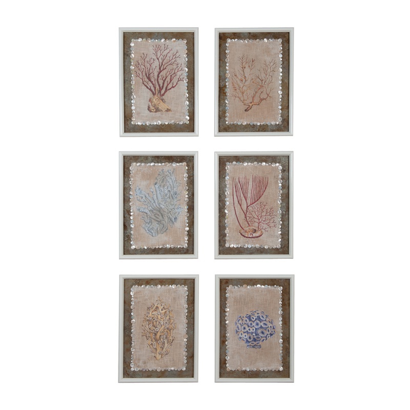 Bild Von Coral Studies Guild Master