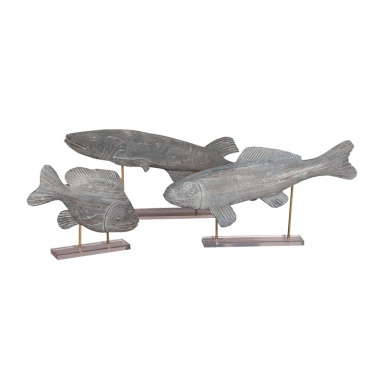 Zubehör Amazon Fish