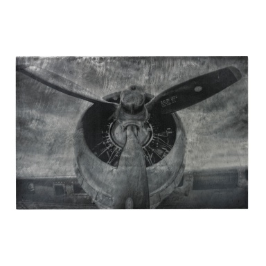 Bild Alton-World War II Airplane Print Etched Print On Aluminum