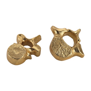 Zubehör Gold Whale Bones