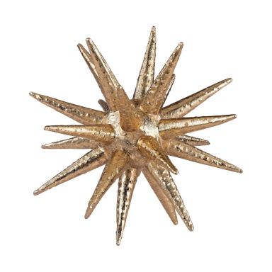 Zubehör Stachelige Urchin