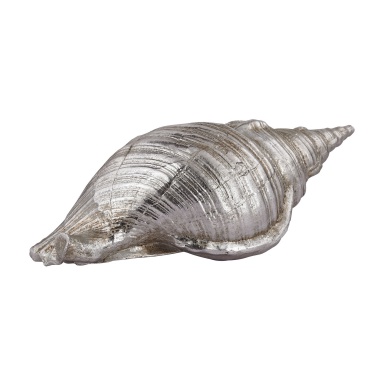 Zubehör Silver Conch Shell