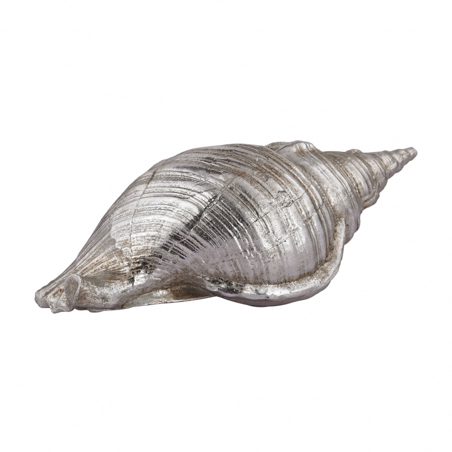 Zubehör Silver Conch Shell Sterling