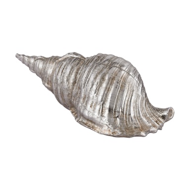 Zubehör Silver Cone Shell