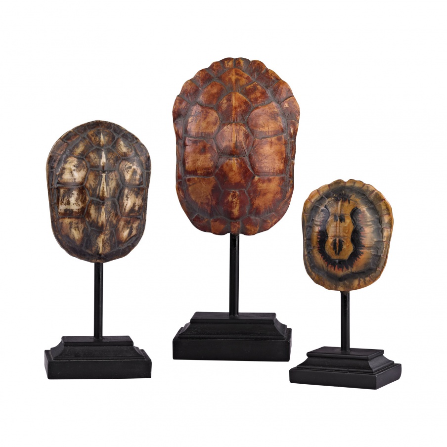 Zubehör Set of 3 Turtle Shells on Stands Sterling
