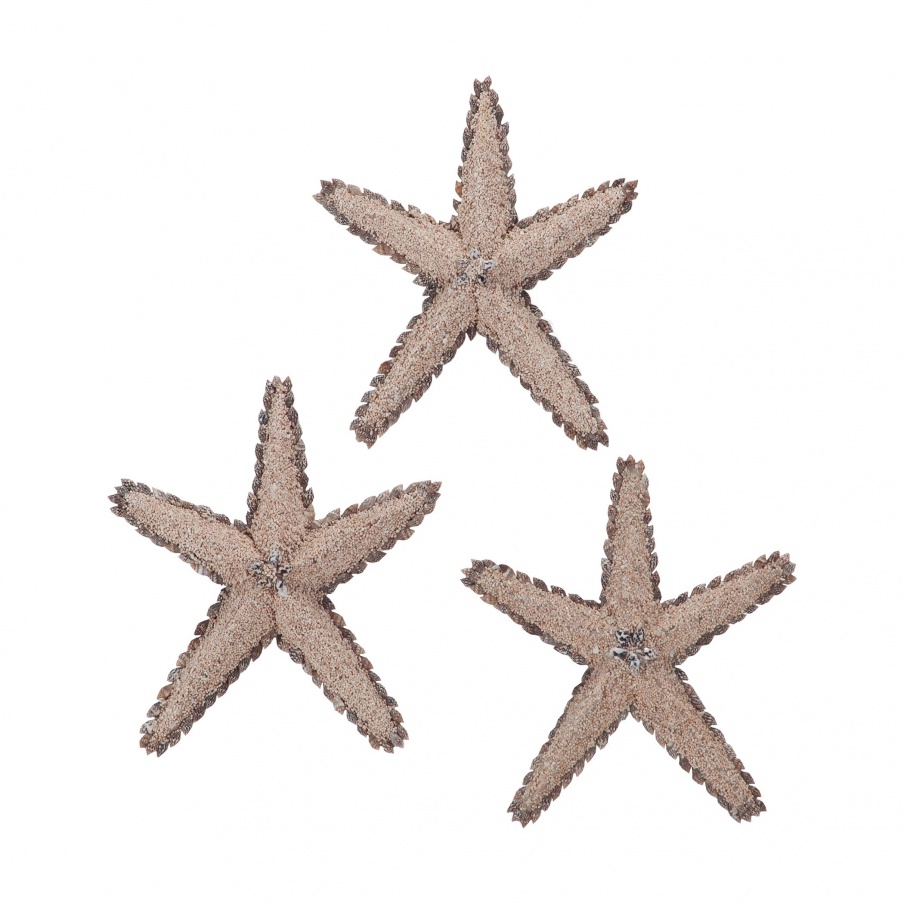 Zubehör Mixed Shell-Star Fish Sterling