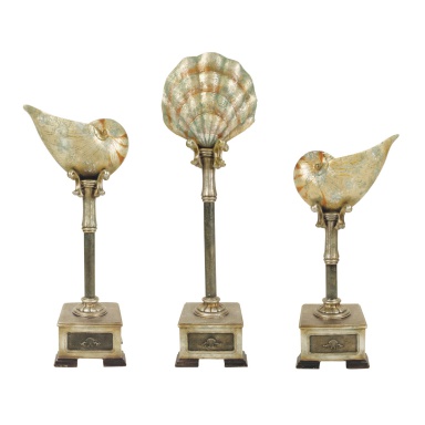 Zubehör Set of 3 Cultured Seashells